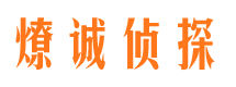 马鞍山市调查公司